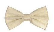Ivory Paisley Bow Ties with Matching Pocket Squares-Men's Bow Ties-ABC Fashion