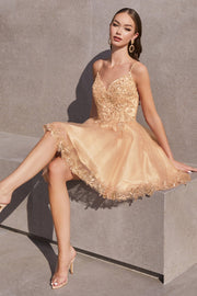 Lace Applique Short Sleeveless Dress by Ladivine CD0213