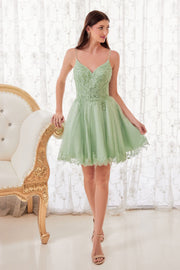 Lace Applique Short Sleeveless Dress by Ladivine CD0213