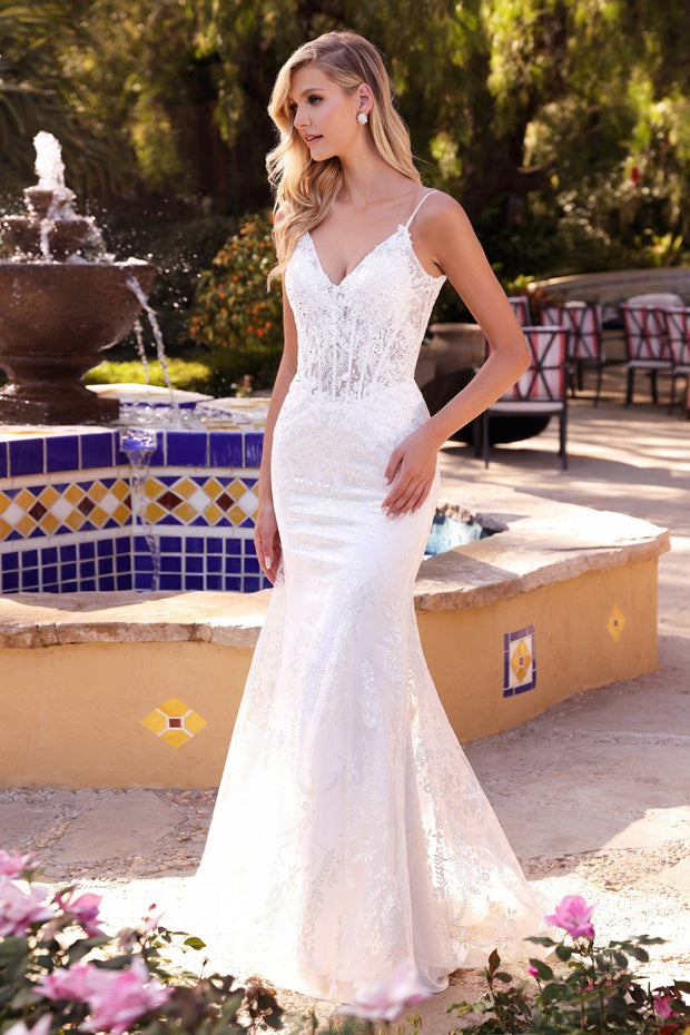 Cinderella mermaid top wedding dress