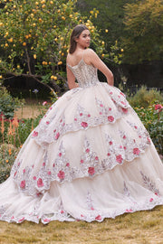 Layered Applique Sleeveless Ball Gown by Ladivine 15703