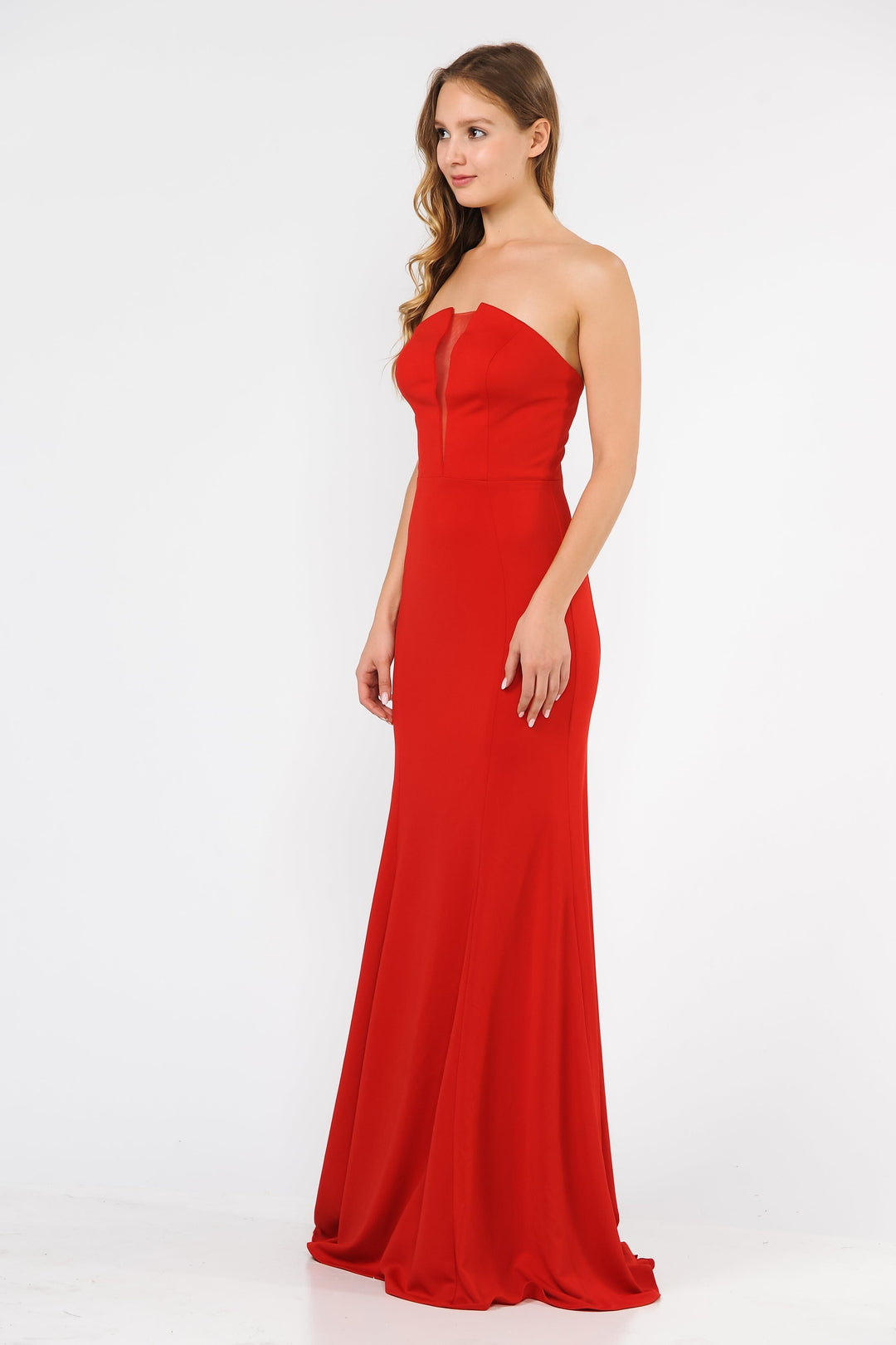 Long Fitted Illusion Strapless Dress by Poly USA 8488