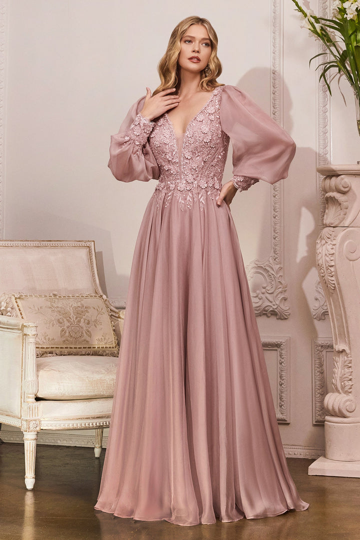 Long Sleeve Chiffon Gown by Cinderella Divine CD0183