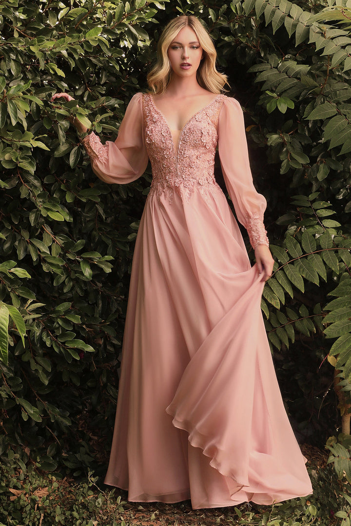 Long Sleeve Chiffon Gown by Cinderella Divine CD0183