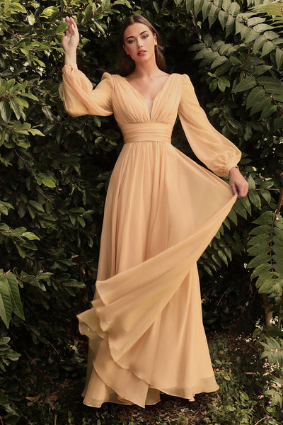 Long Sleeve Chiffon Gown by Cinderella Divine CD0192 – ABC Fashion