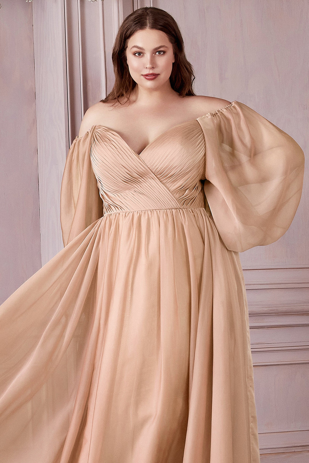 Long Sleeve Chiffon Gown by Cinderella Divine CD243