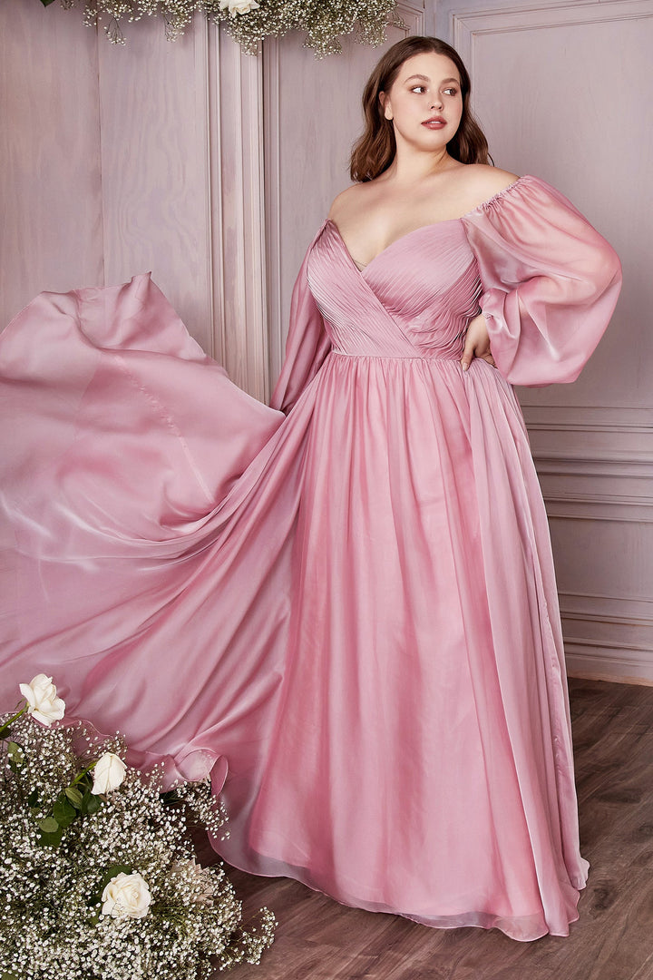 Long Sleeve Chiffon Gown by Cinderella Divine CD243