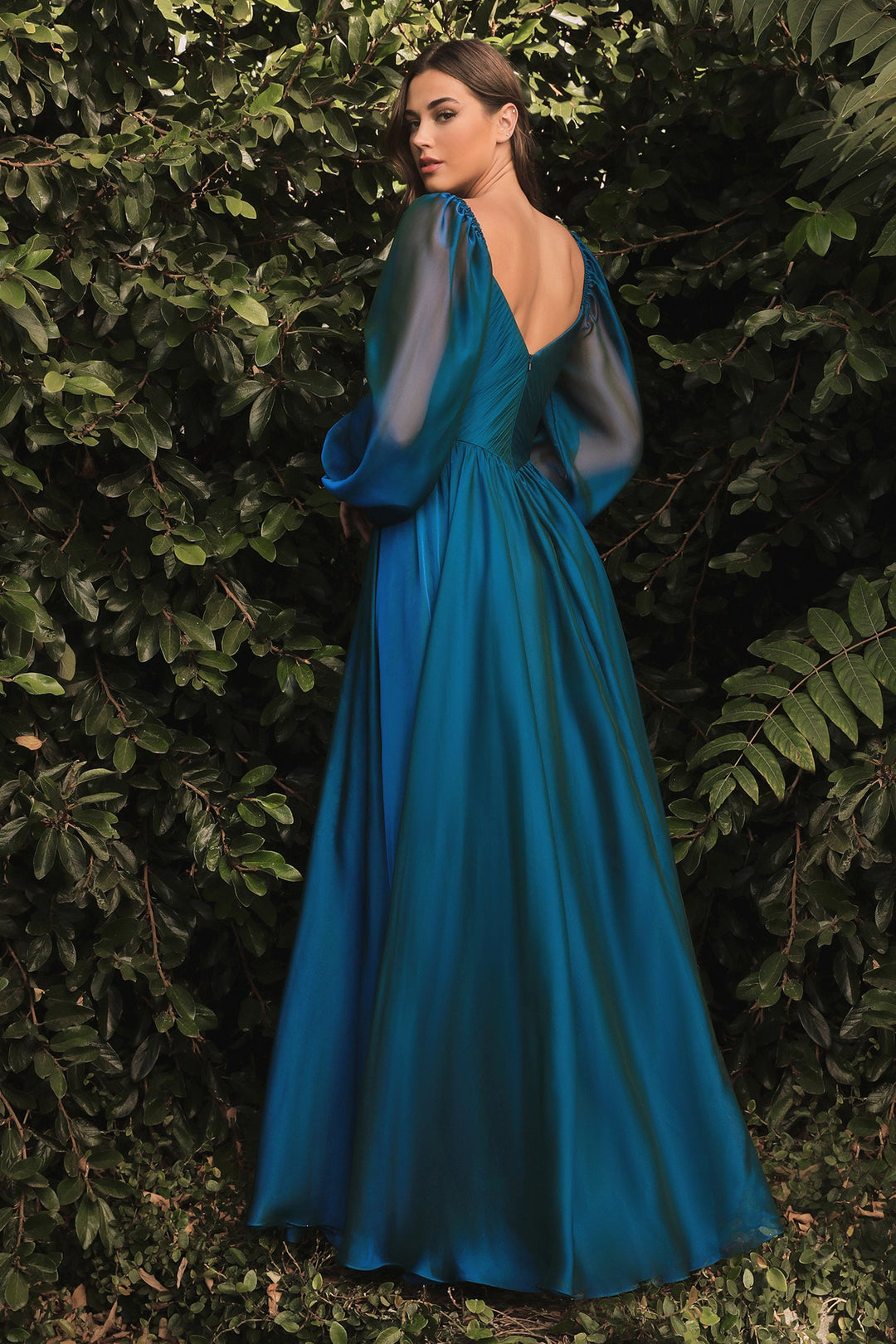 Long Sleeve Chiffon Gown by Cinderella Divine CD243