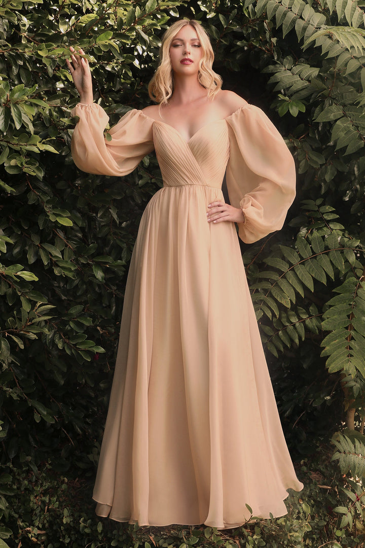 Long Sleeve Chiffon Gown by Cinderella Divine CD243