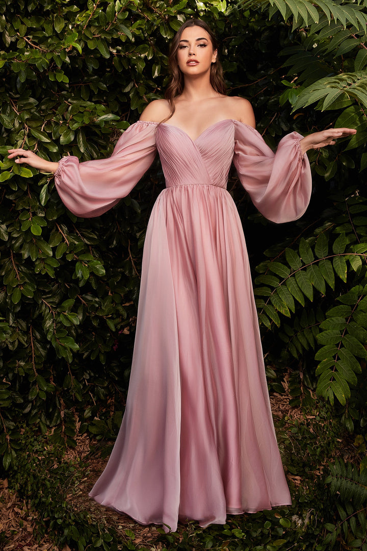 Long Sleeve Chiffon Gown by Cinderella Divine CD243