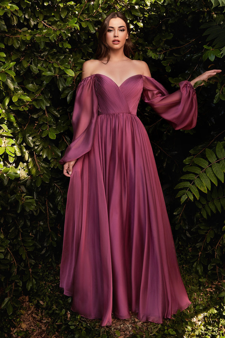 Long Sleeve Chiffon Gown by Cinderella Divine CD243