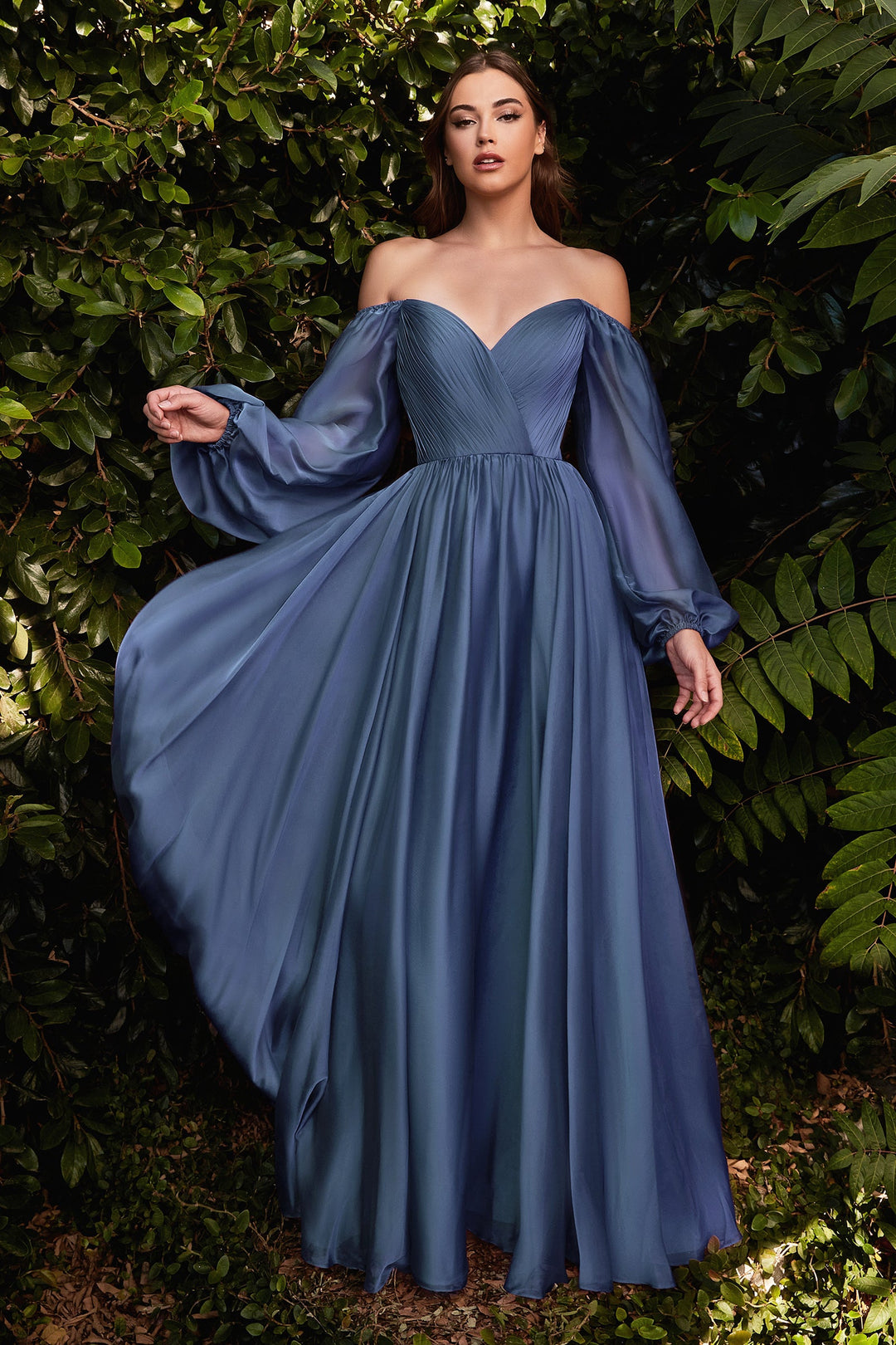 Long Sleeve Chiffon Gown by Cinderella Divine CD243