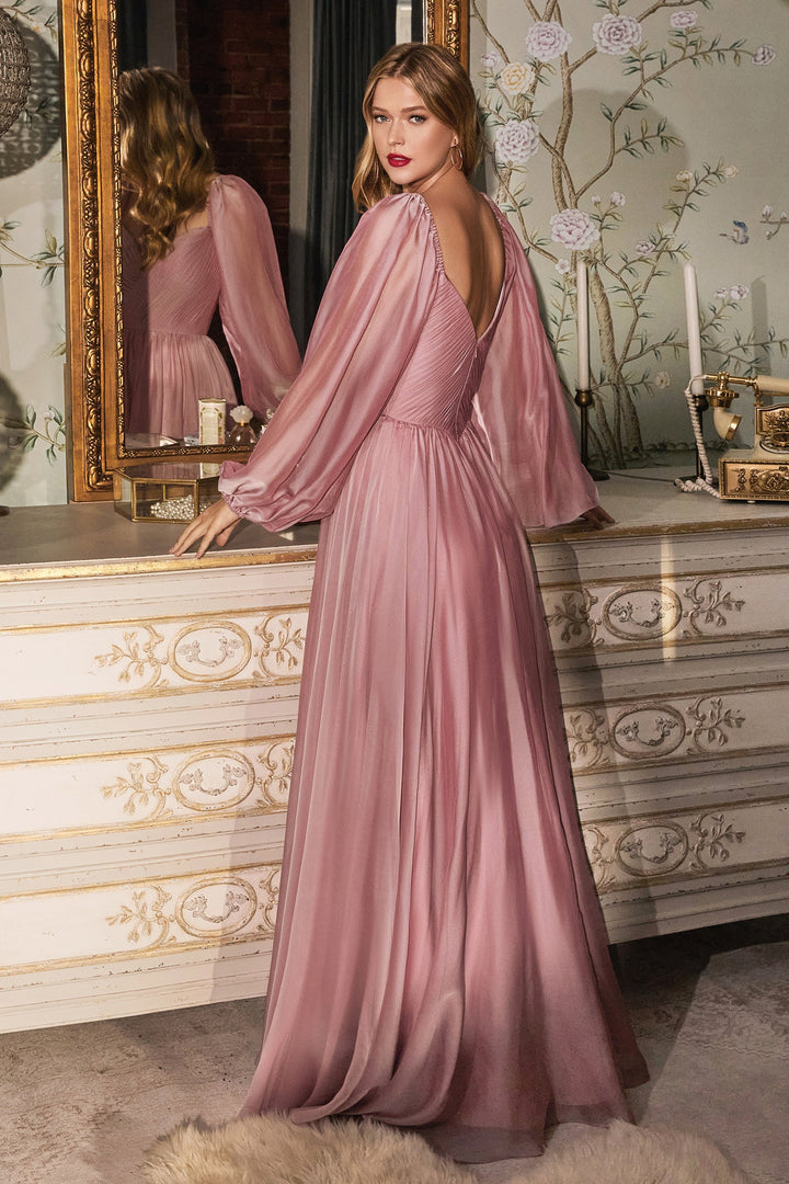 Long Sleeve Chiffon Gown by Cinderella Divine CD243