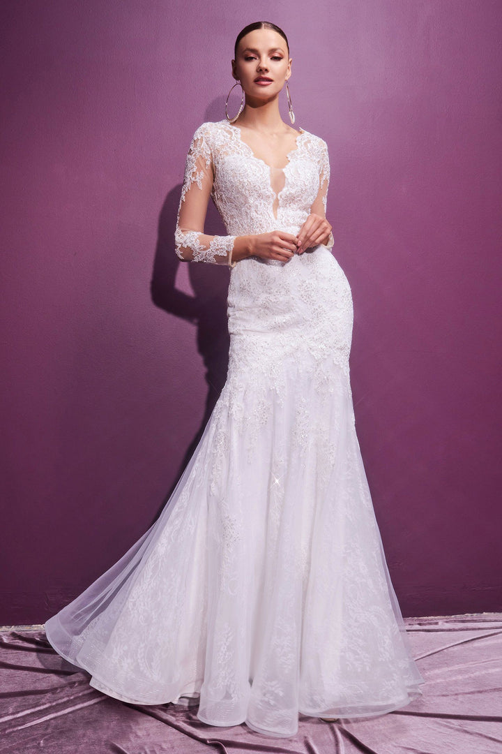 Long Sleeve Lace Bridal Gown by Cinderella Divine CD951W