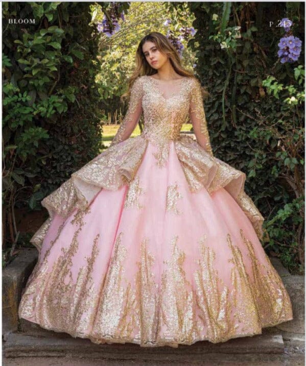 Long Sleeve Quinceanera Dress by Ragazza DV56-556