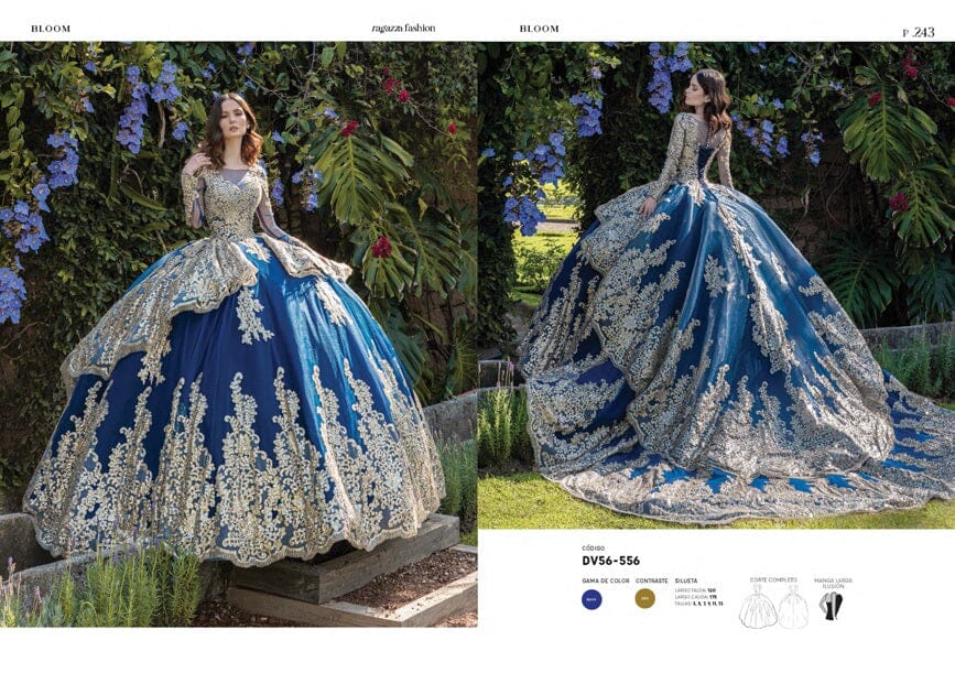 Long Sleeve Quinceanera Dress by Ragazza DV56-556