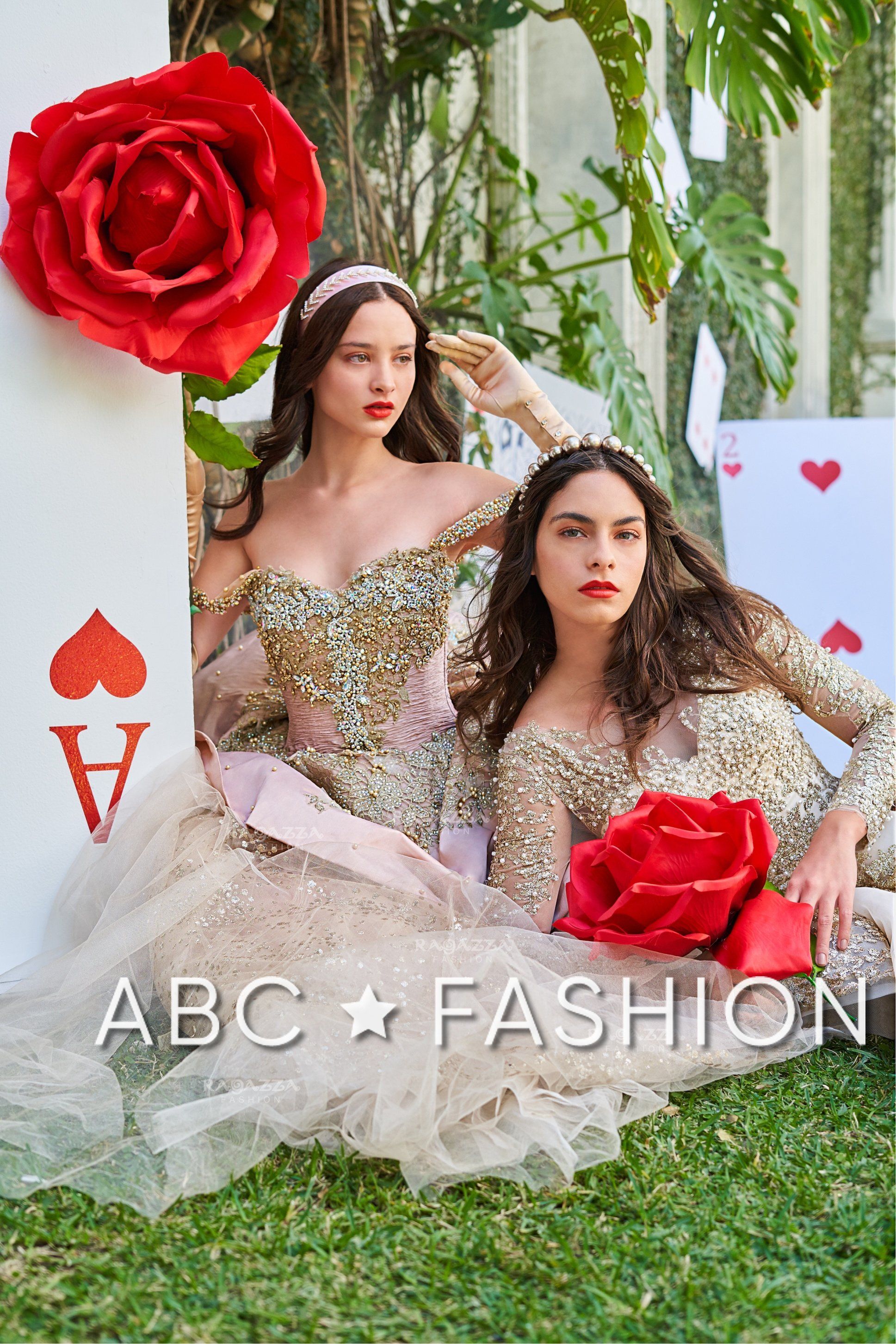 Long Sleeve Quinceanera Dress by Ragazza DV56-556 – ABC Fashion