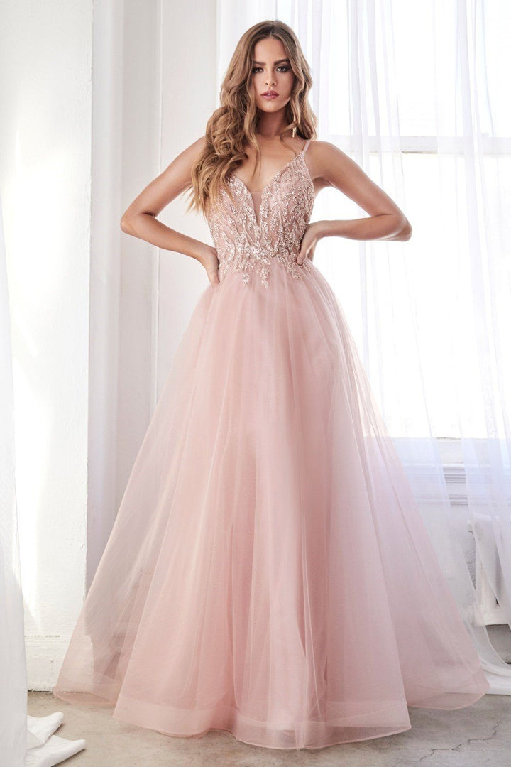 Beaded Long Sleeveless Tulle Dress by Ladivine CD0154