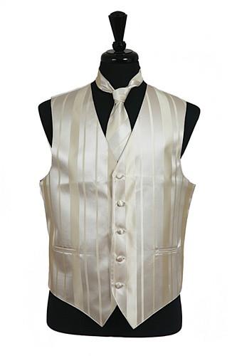 Men's Champagne Striped Vest with Neck Tie and Bow Tie-Men's Vests-ABC Fashion