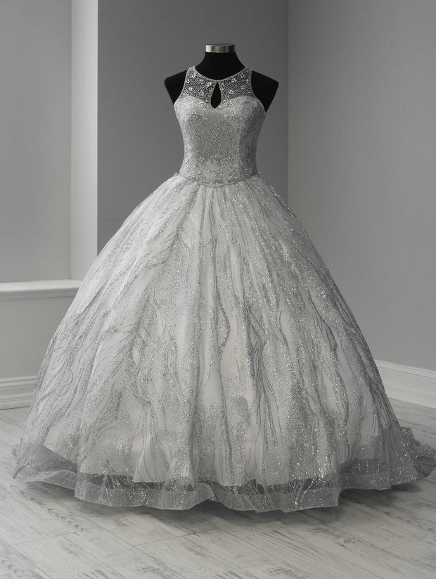 Metallic Beaded Sleeveless Quinceanera Dress by House of Wu 26915-Quinceanera Dresses-ABC Fashion