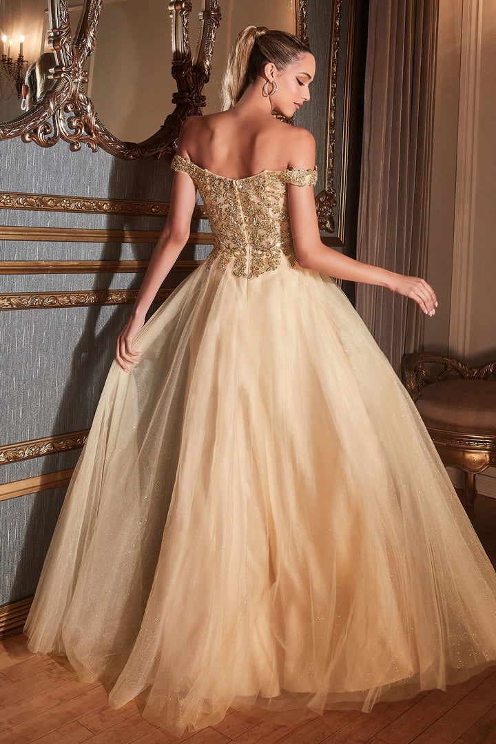 Off Shoulder Tulle Gown by Cinderella Divine CD0177