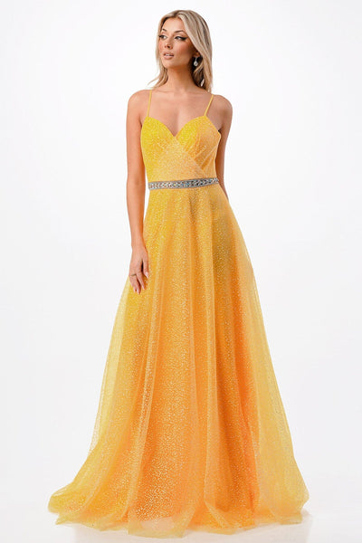 Pleated Goddess Glitter Tulle Gown by Coya P2105