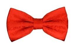 Red Paisley Bow Ties with Matching Pocket Squares-Men's Bow Ties-ABC Fashion