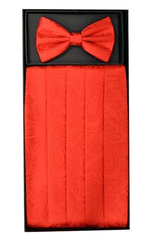 Red Paisley Cummerbund and Bow Tie Set-Men's Cummerbund-ABC Fashion