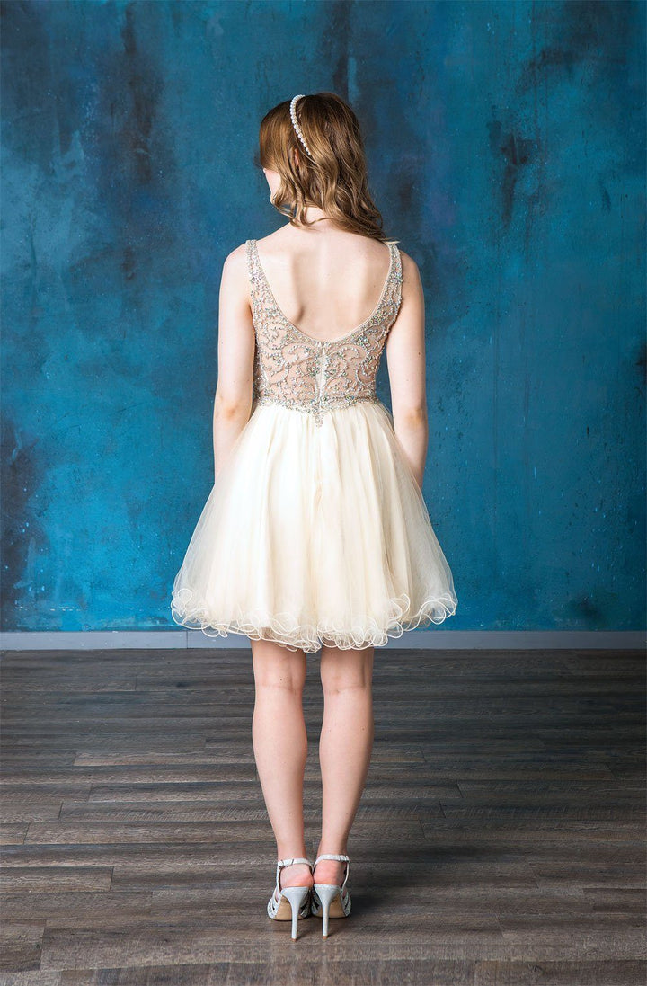Ruffled Short V-Neck Tulle Dress by Calla KY72071