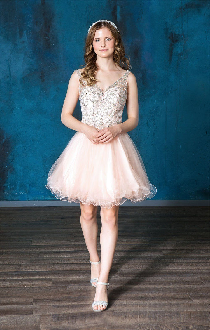 Ruffled Short V-Neck Tulle Dress by Calla Collection