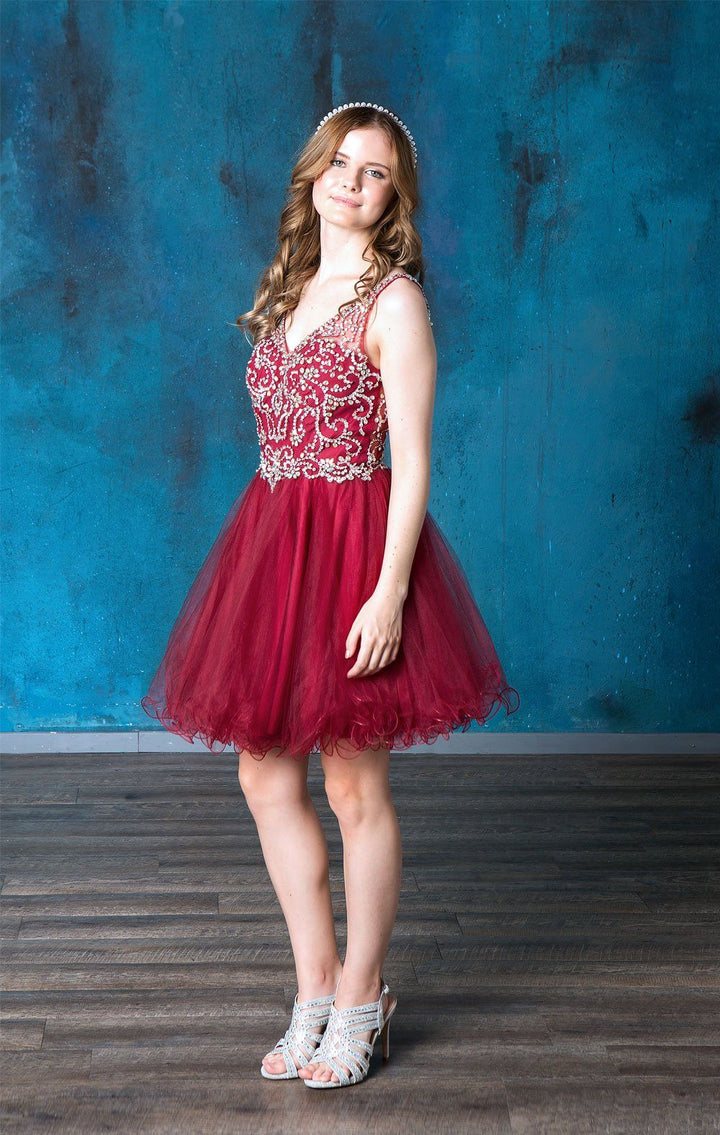 Ruffled Short V-Neck Tulle Dress by Calla KY72071