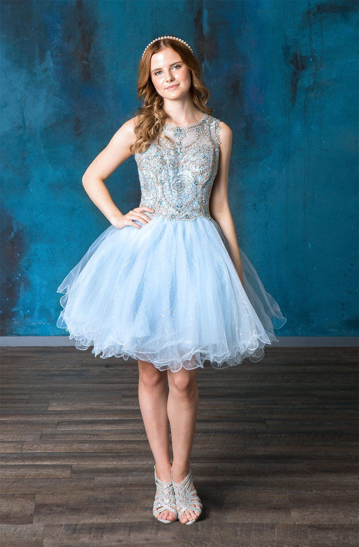 Short Embroidered Dress with Sequin Tulle Skirt by Calla Collection