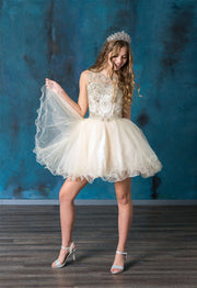 Short Embroidered Dress with Sequin Tulle Skirt by Calla Collection