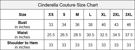 Short Floral Applique Dress by Cinderella Couture 5112J
