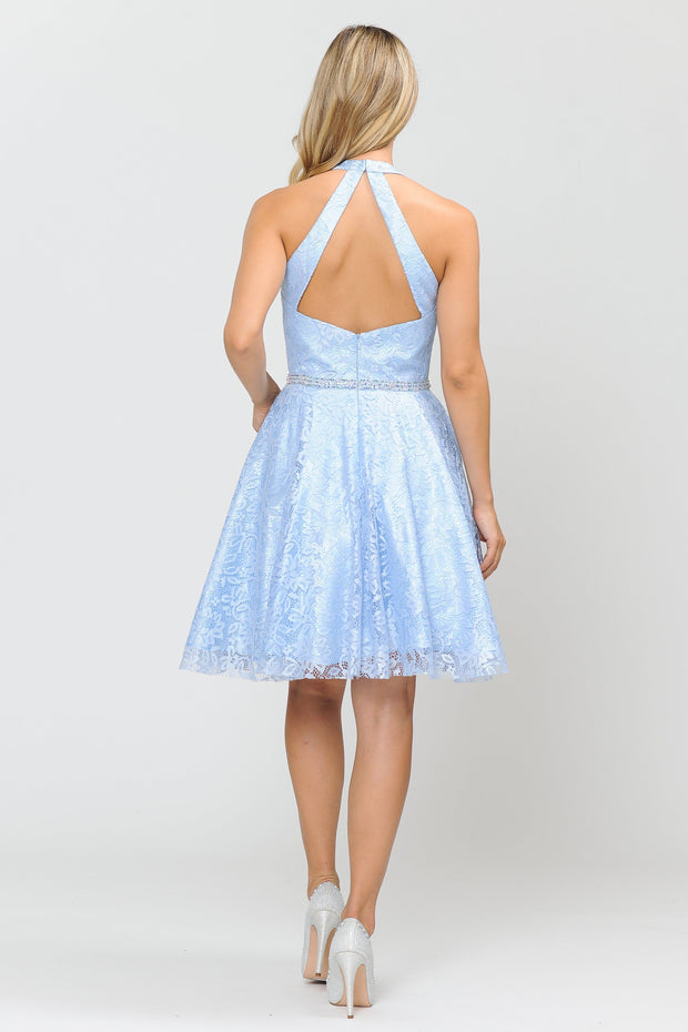 Short Halter Lace Dress with Open Back by Poly USA 8428-Short Cocktail Dresses-ABC Fashion