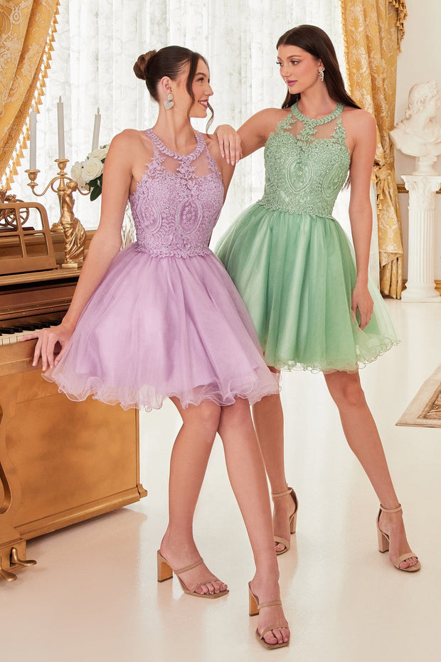 Short Lace Applique Dress by Cinderella Divine UJ0119
