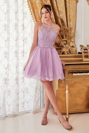 Short Lace Applique Dress by Cinderella Divine UJ0119