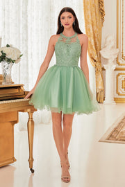 Short Lace Applique Dress by Cinderella Divine UJ0119