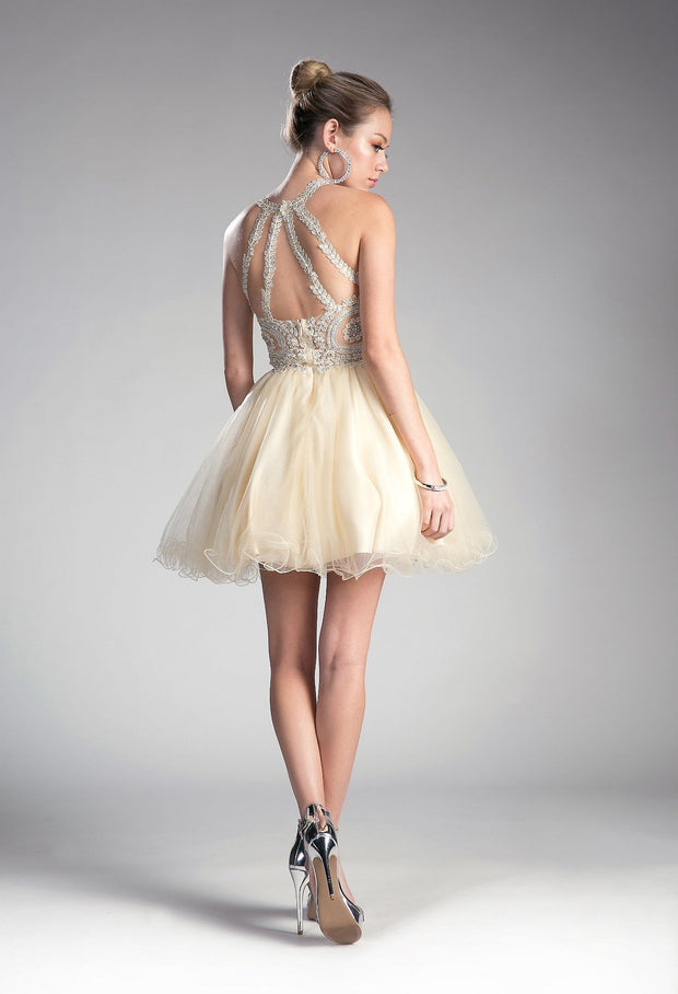 Short Lace Appliqued Dress by Cinderella Divine UJ0119-Short Cocktail Dresses-ABC Fashion