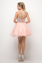 Short Lace Appliqued Dress by Cinderella Divine UJ0119-Short Cocktail Dresses-ABC Fashion