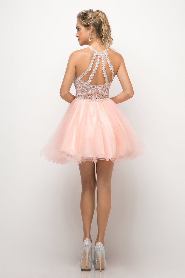 Short Lace Appliqued Dress by Cinderella Divine UJ0119-Short Cocktail Dresses-ABC Fashion
