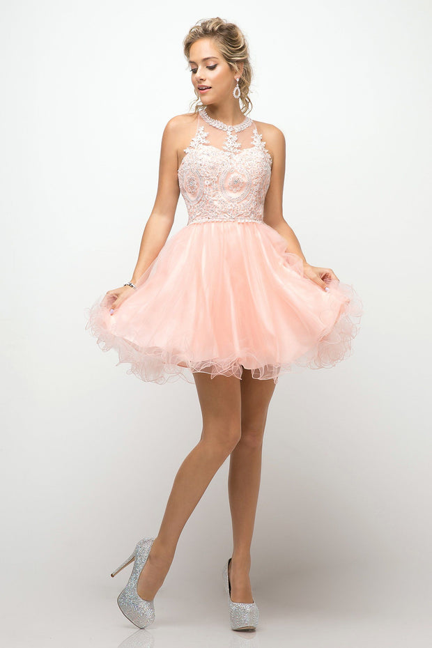 Short Lace Appliqued Dress by Cinderella Divine UJ0119-Short Cocktail Dresses-ABC Fashion