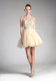 Short Lace Appliqued Dress by Cinderella Divine UJ0119-Short Cocktail Dresses-ABC Fashion