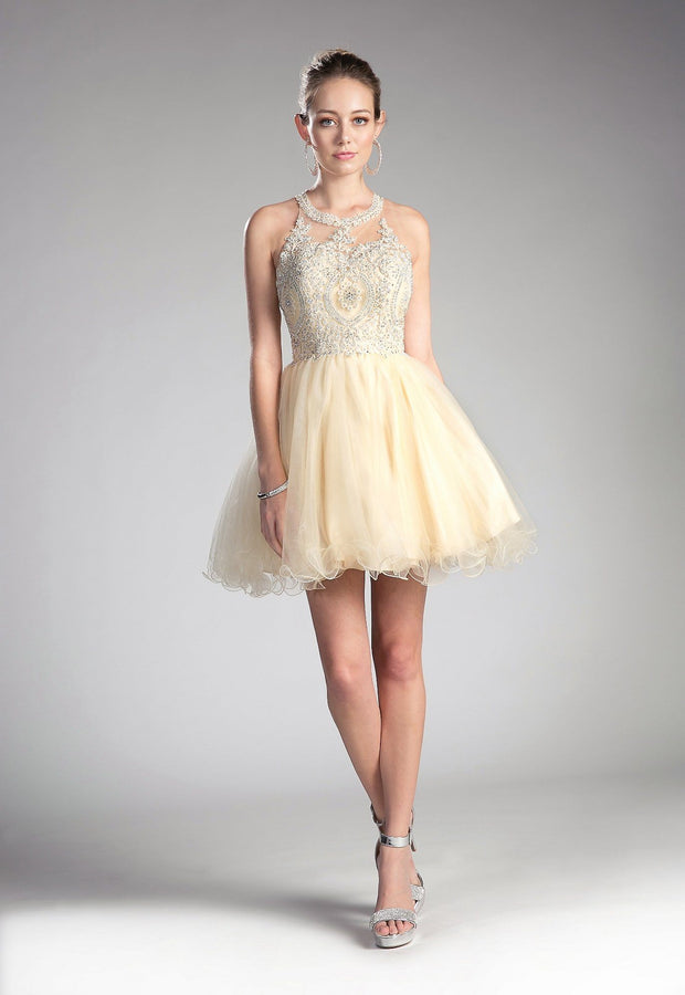 Short Lace Appliqued Dress by Cinderella Divine UJ0119-Short Cocktail Dresses-ABC Fashion