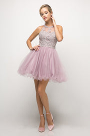 Short Lace Appliqued Dress by Cinderella Divine UJ0119-Short Cocktail Dresses-ABC Fashion