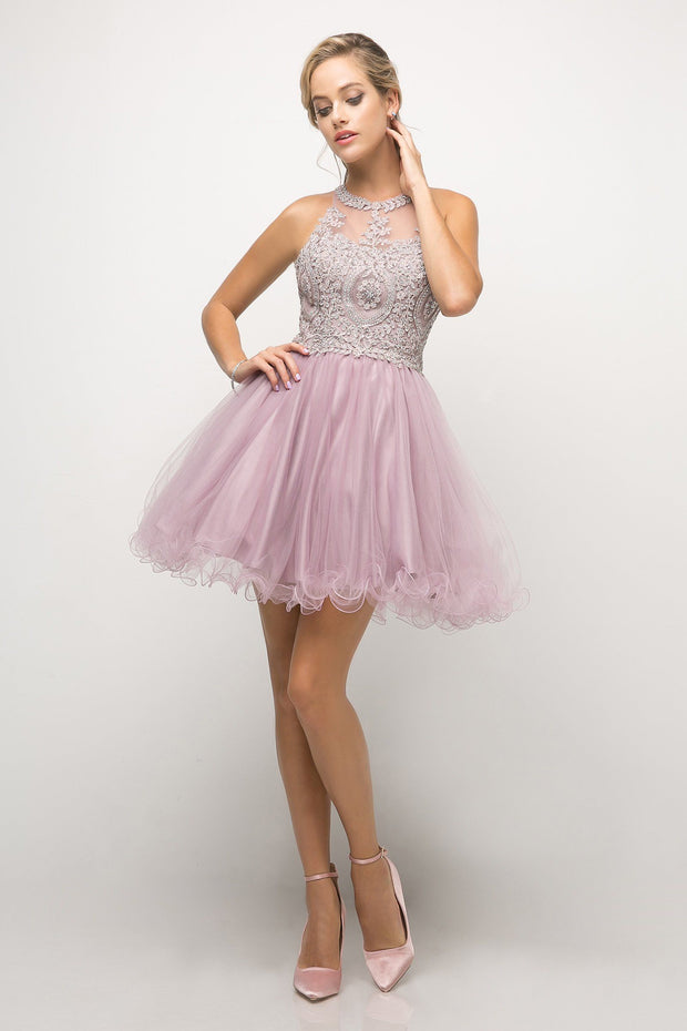 Short Lace Appliqued Dress by Cinderella Divine UJ0119-Short Cocktail Dresses-ABC Fashion