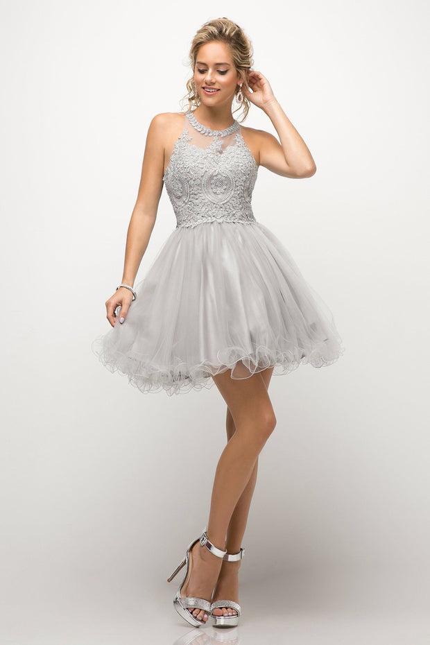 Short Lace Appliqued Dress by Cinderella Divine UJ0119-Short Cocktail Dresses-ABC Fashion