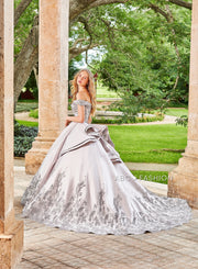 Silver Quinceanera Dress by Ragazza DV71-571