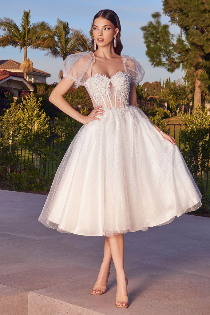 White Short Sleeve Tea Length Dress by Ladivine CD0187W ABC