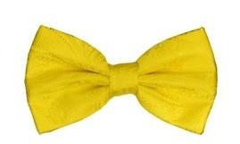 Yellow Paisley Bow Ties with Matching Pocket Squares-Men's Bow Ties-ABC Fashion